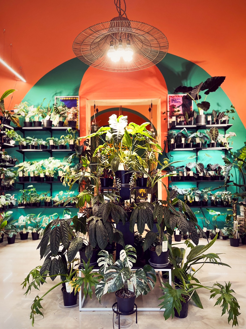 Tropica